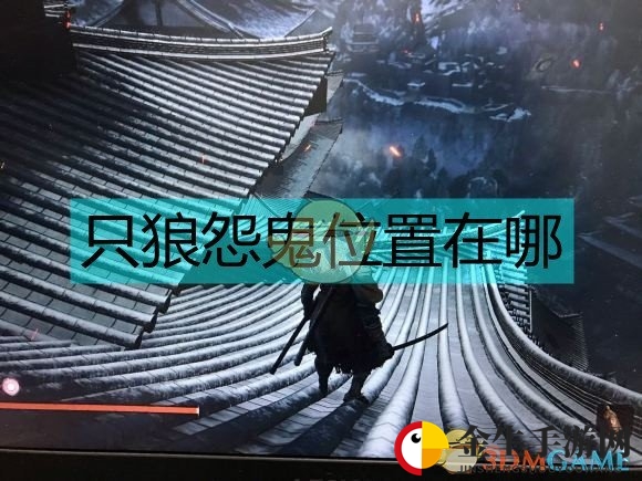 只狼怨鬼在哪