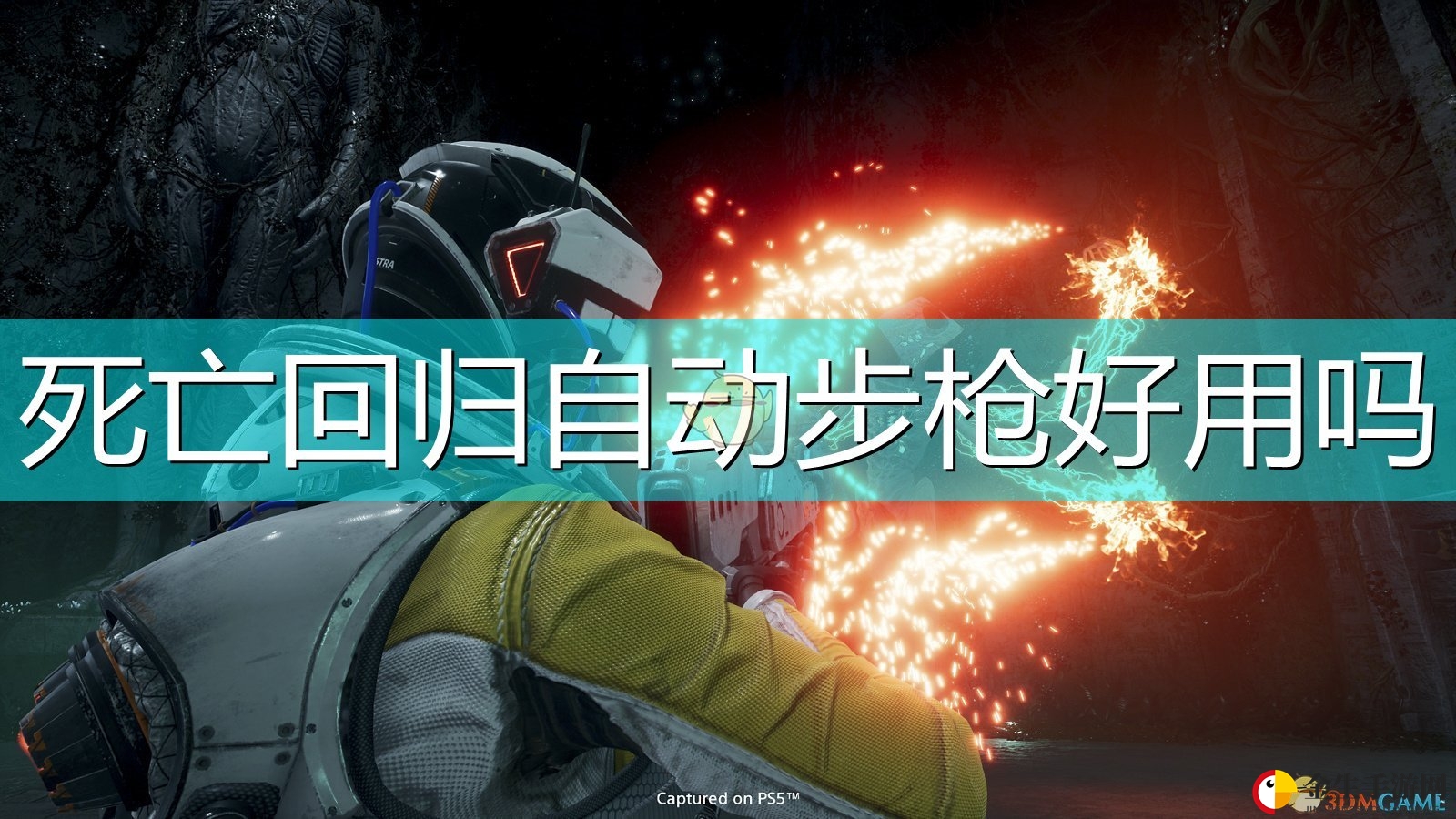 《死亡回归》自动步枪武器评价分享