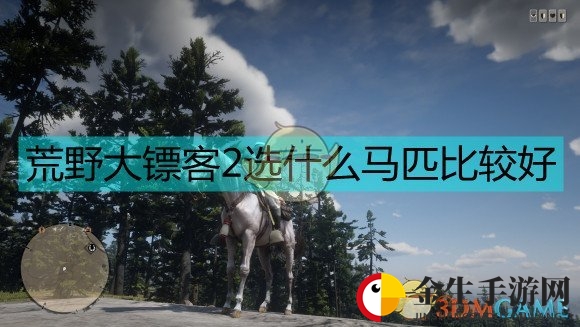 《荒野大镖客2》马匹选择建议