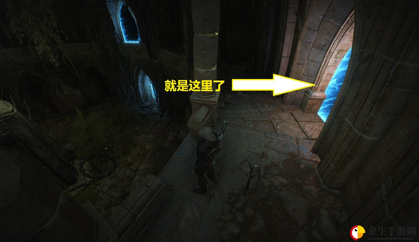 巫师3面对改变传送门