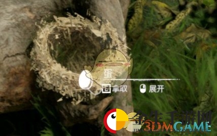 探寻神秘蛋食功效，绿色地狱大揭秘