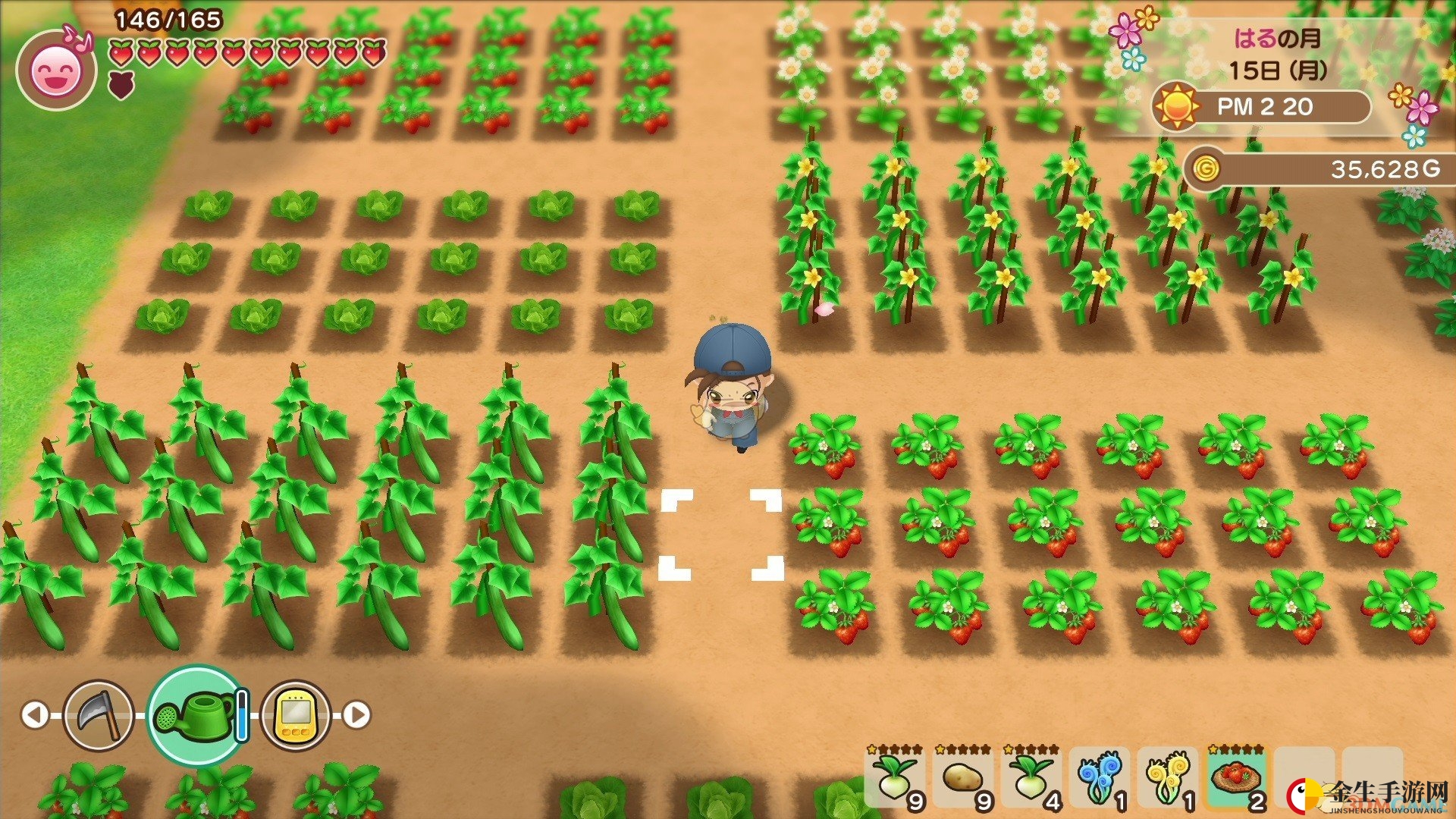 《牧场物语》钓竿升级攻略，钓鱼技能提升大揭秘