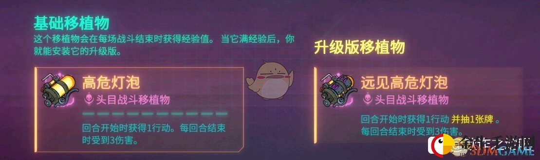 神秘高危灯泡：萨儿实力解析