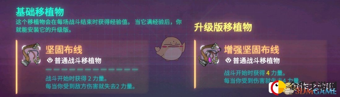 《欺诈之地》萨儿坚固布线介绍