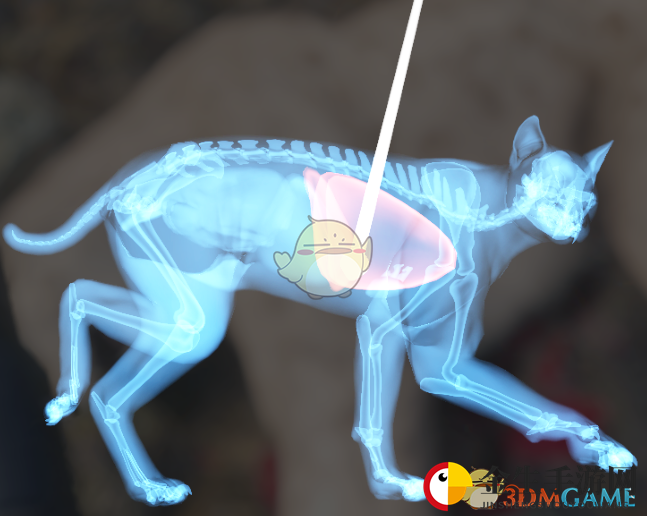 《猎人：荒野的呼唤》赤狐＆郊狼＆欧亚猞猁步枪速杀攻略
