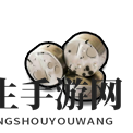 《死寂之城》全稀缺材料一览